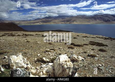 Calcite cucciolata il terreno a circa 4900 m in Ladakh, India. Le acque salmastre ad alta elevazione lago Tso Moriri è in background. Foto Stock