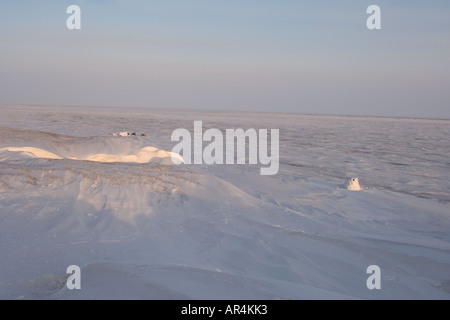 Igloo snow blind è utilizzato per la fotografia accampamento lungo la costa artica Artico Orientale National Wildlife Refuge Alaska Foto Stock