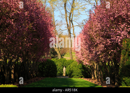 Grand Allee e Glen Burnie, Winchester, Shenandoah Valley, Virginia, Stati Uniti d'America Foto Stock