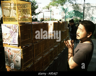 Un uomo guarda a uccelli in piccole gabbie di plastica in corrispondenza di Yuen Po Bird Park di Hong Kong Foto Stock