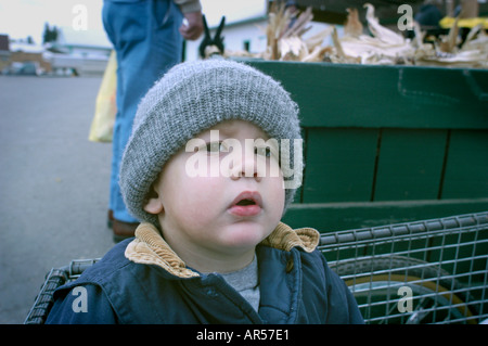 Vecchio ordine Amish in Ohio Foto Stock