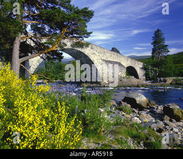 Invercauld Ponte e fiume Dee Aberdeenshire Grampian Regione Scozia GPLM 1124 Foto Stock
