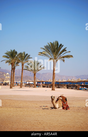 Vista sulla spiaggia, Hotel Sofitel Taba Heights, Taba Heights, Penisola del Sinai, Repubblica d'Egitto Foto Stock