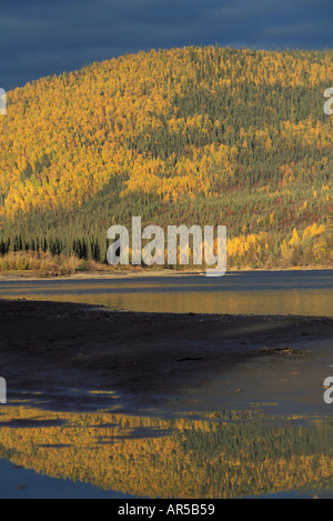 Alatna colline in autunno colori betulla pioppi neri americani di Aspen e abete rosso si riflettono nel fiume Alatna boreale foerst N Alaska Foto Stock