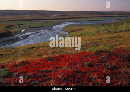 Killik fiume che scorre in autunno tundra colorati con uva ursina foglie Arctic Alaska Foto Stock