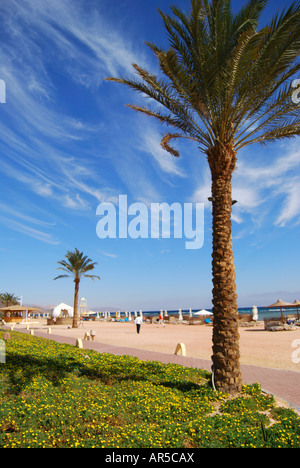 Vista della spiaggia, l'Hotel Sofitel Taba Heights, Taba Heights, Penisola del Sinai, Repubblica di Egitto Foto Stock