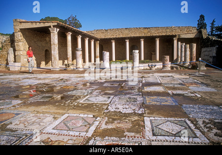 Mosaici pavimentali Cartagine Tunisia Foto Stock