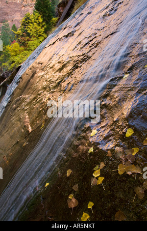 Una cascata che scorre nel fiume vergine in Sion si restringe Zion National Park nello Utah Foto Stock