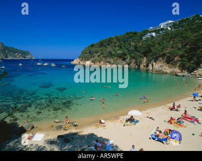 Spiaggia, Cala, Aiguablava, vicino a Begur, Costa Brava, provincia Girona, in Catalogna, Spagna Foto Stock