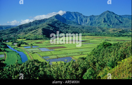 Vista della Valle di Hanalei su Kauai da trascurare Foto Stock