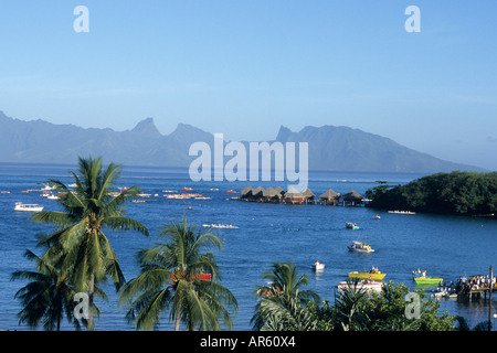 Gli alberi di cocco, Yacht & Moorea, vista dal Sofitel Maeva Beach Resort, Tahiti, Polinesia Francese Foto Stock