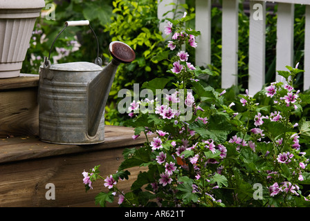 Annaffiatoio seduti sui gradini nel giardino sul retro Foto Stock