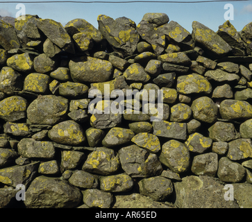 La sezione di una pietra a secco a parete Stonethwaite in The Borrowdale Valley Foto Stock