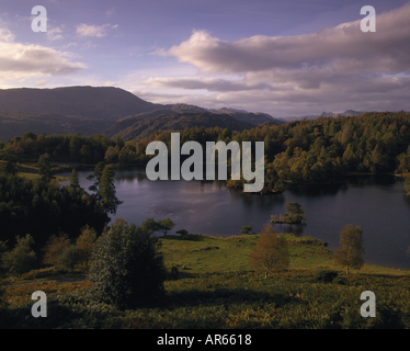 Una vista sul Tarn Hows Valle a Coniston Foto Stock