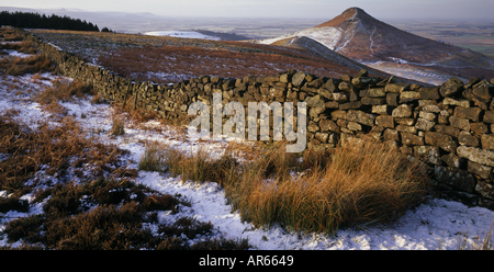 Una panoramica di una scena invernale di Roseberry comune dello Yorkshire del Nord Foto Stock