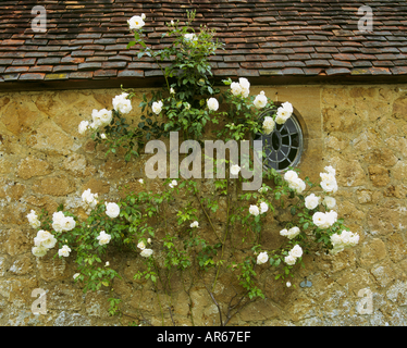 Barrington Court Somerset Foto Stock