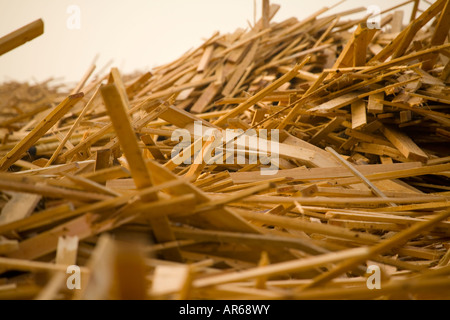 I detriti di legno dal principe di ghiaccio lavato fino a Worthing beach Foto Stock