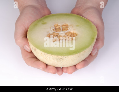 Champagne melone, o melone. Foto Stock