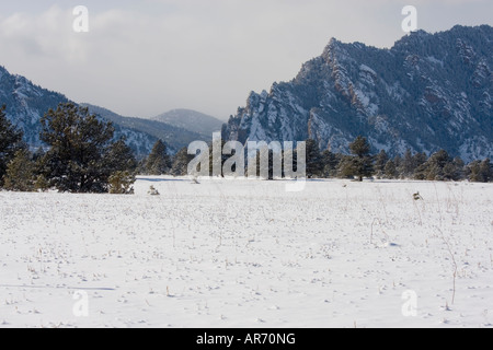 Boulder Flatirons Vista Parco su un freddo inverno Colorado giorno Foto Stock