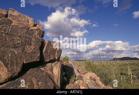 Petroglifi indiani coprono una pila di rocce nel Parco nazionale del Saguaro nel deserto Sonoran vicino a Tucson Foto Stock
