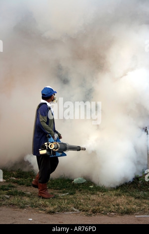 La fumigazione di uccidere zanzare Aedes per prevenire epidemia di dengue in Malesia Foto Stock