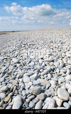 Spiaggia ghiaiosa di Aberthaw Vale of Glamorgan Wales UK GB UE Foto Stock