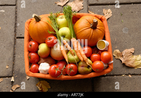 Circa la zuppa di zuppa di fatti a mano makers a Bristol Farmers Market Inghilterra UK UE frutta e verdura ingredienti nella casella Foto Stock