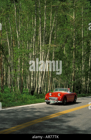 1961 Austin Healey Sprite heads up Colorado Highway 82 vicino Aspen Colorado Foto Stock