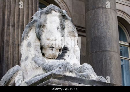 Un weathered leone di pietra al di fuori di Leeds City Hall a Leeds Regno Unito 12 Dicembre 2007 Foto Stock