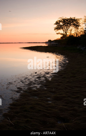 La Palude Salata in primavera. Strawberry Hill preservare in Ipswich, Massachusetts. Eagle Hill fiume. All'alba. Foto Stock