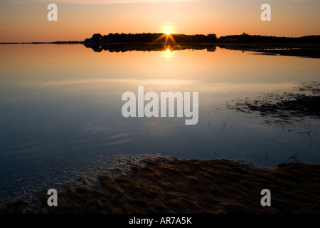 La Palude Salata in primavera. Strawberry Hill preservare in Ipswich, Massachusetts. Eagle Hill fiume. All'alba. Foto Stock