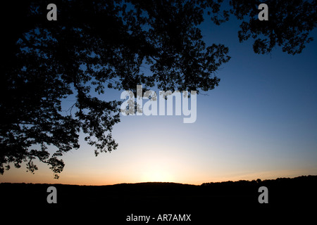 Il sole tramonta dietro una quercia in Grafton, Massachusetts. Woircester County. Foto Stock