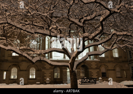 Coperta di neve albero davanti Osgoode Hall Law Society e la corte di appello di Toronto Ala centrale Foto Stock