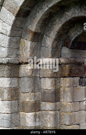 Portale romanico a Killeshin chiesa, Co Laois, Irlanda Foto Stock