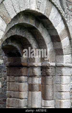 Portale romanico a Killeshin chiesa, Co Laois, Irlanda Foto Stock