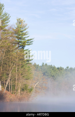 Walden Pond State Reservation, concordia, Massachussets. Foto Stock