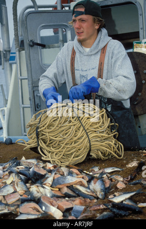 Camicia lunga marinaio tenetevi pronti per un pacifico assolcatore di ippoglosso dai ganci di adescamento con aringa in Omero centromeridionale Alaska Foto Stock