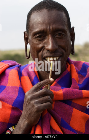 Ritratto di uomo Masai indossando trraditional mantello e decorazioni a masticare su un bastone Foto Stock