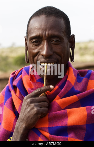 Ritratto di uomo Masai indossando trraditional mantello e decorazioni a masticare su un bastone Foto Stock