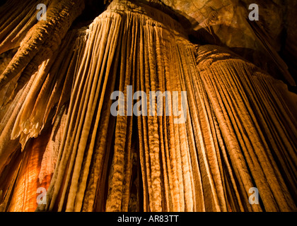 Stalattiti nelle caverne di Jenolan, Blue Mountains, Nuovo Galles del Sud, Australia Foto Stock