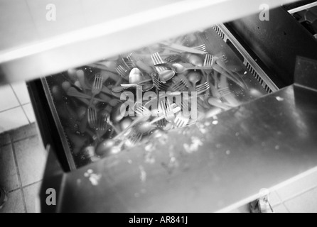 Immagine presa in Sofiero ristorante cucina a Helsingborg, Svezia. Leggermente granulosa. Per solo uso editoriale. Foto Stock