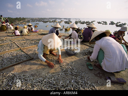 Vista dei lavoratori mettendo il pesce su rack Foto Stock