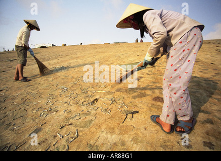 Il Vietnam, donne spazzando dei pesci Foto Stock