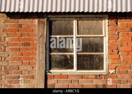 Una finestra di un vecchio fienile con un ondulato di ferro di stagno con tetto incrinato di mattoni rossi in un cortile di locali agricoli Foto Stock