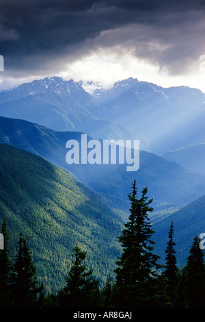 Hoh River Valley dai pendii montani, il Parco Nazionale di Olympic, nello Stato di Washington Foto Stock