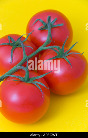 Ripe rosso dei pomodori di travatura reticolare su sfondo giallo Foto Stock