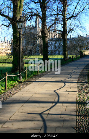 King's College di Cambridge sentiero attraverso la zona spalle molla cambridgeshire Inghilterra Foto Stock