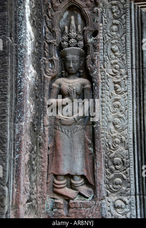 Devata, divinità femminile, nella nicchia della parete nella galleria interna Ta Prohm tempio di Angkor Wat complessa, Siem Reap, Cambogia Foto Stock