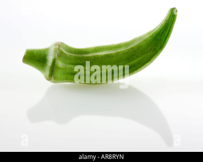 Fresche, Ochra Bhindi o Signore dita intere e non cotti contro uno sfondo bianco per tagliare Foto Stock