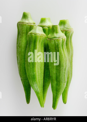 Fresche, Ochra Bhindi o Signore dita intere e non cotti contro uno sfondo bianco per tagliare Foto Stock